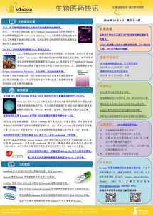 長煦信息技術咨詢 數字化轉型時代的專業引領者